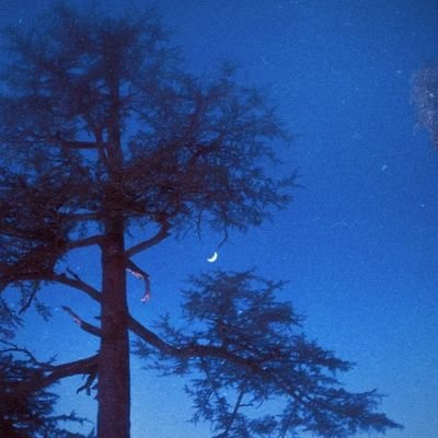 rhong28's profile picture. 海压竹枝低复举，风吹山角晦还明！

Looking for mutual follows!

想互相关注的朋友欢迎来～