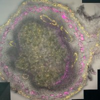 Macarena Marín (@marinlab_) 's Twitter Profile Photo Macarena Marín (@marinlab_) 's Twitter Profile Photo