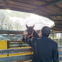 Masked Wolf (@cansedatlar) Twitter profile photo