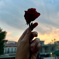 . 🇵🇸 (@sixfiftyfourr) 's Twitter Profile