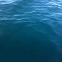 rty (@ioyohi162) 's Twitter Profile Photo