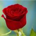 halit sevda (@halitsevda62217) Twitter profile photo halit sevda (@halitsevda62217) Twitter profile photo
