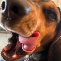 Tyler Windler (@tylerwindl10743) 's Twitter Profile