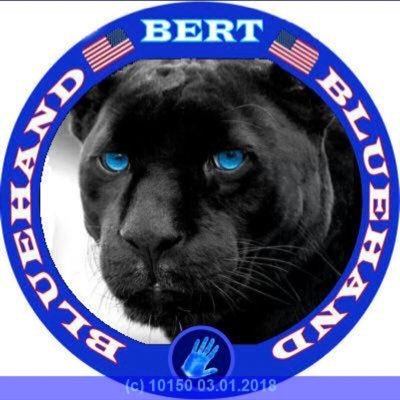 Bert7058 Profile Picture