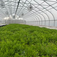 Mr. Pink (@pink_mr79928) 's Twitter Profile Photo