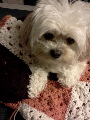 Trina__'s profile picture. Children's Author