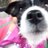 TracyGilbert's profile image