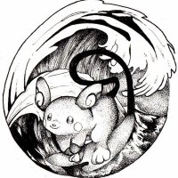 Robin Funk (@robinfunk39427) 's Twitter Profile