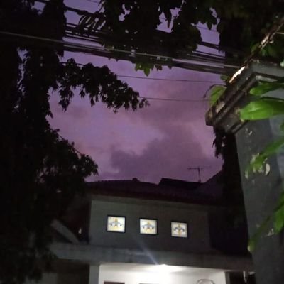 agoybets's profile picture. 