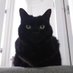 Poppy The Panfur ๐บ (@lyttlenesh) Twitter profile photo Poppy The Panfur ๐บ (@lyttlenesh) Twitter profile photo