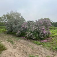 Katherine (@kate032155) 's Twitter Profile Photo