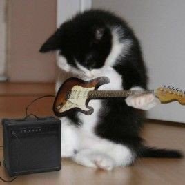 Fldog7's profile picture. 