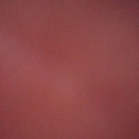 Nestor Bogan (@nestorboga1364) 's Twitter Profile