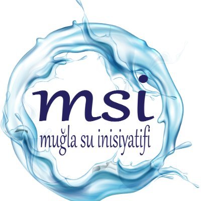 msuinisiyatifi Profile Picture