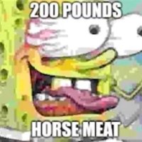 Horse Meat $HORSEMEAT(@200lbsHORSEMEAT) 's Twitter Profile Photo