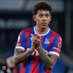 Will ๐ฆ
(@usandcpfcfan) Twitter profile photo Will ๐ฆ
(@usandcpfcfan) Twitter profile photo