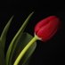 Aciz bir kul 🇹🇷 (@acizbirkul25) Twitter profile photo Aciz bir kul 🇹🇷 (@acizbirkul25) Twitter profile photo