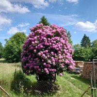Selbach (@selbach0210) 's Twitter Profile