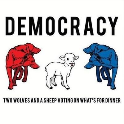 doncatalunya's profile picture. Russische trol