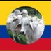 Miguel Lacouture A® (@lacoutu) Twitter profile photo Miguel Lacouture A® (@lacoutu) Twitter profile photo