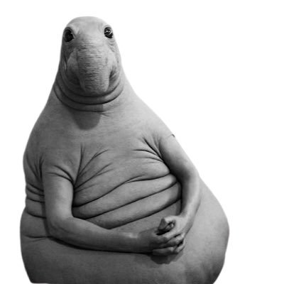 bigchonking's profile picture. come to rome🇻🇦✝️