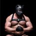 Pup Ronie πΆπ (@roniepup) Twitter profile photo Pup Ronie πΆπ (@roniepup) Twitter profile photo