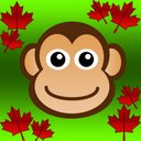 Liam Hansen - @MapleMonkees - Twitter