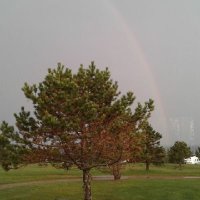 Verda Hintz (@hintzverda18456) 's Twitter Profile