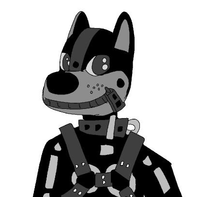 PupJupitor Profile Picture