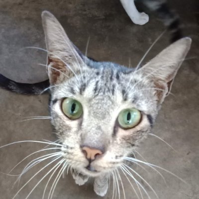 sancatdao7778's profile picture. Blogger and internet surfer