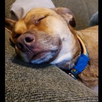 Lulu (@lublondee) 's Twitter Profile