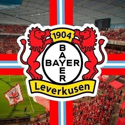 Bayer04_Argento Profile Picture