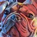 SkewyDude (@askew10connor) Twitter profile photo SkewyDude (@askew10connor) Twitter profile photo