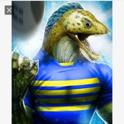 🇦🇺Female Aussie 🇦🇺 PUREBLOOD.
NO PORN = INSTANT BLOCK.
NO DM - I DO NOT READ THEM JUST DELETE THEM.
