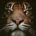 Louvenia Schmitt (@louvenia71419) Twitter profile photo Louvenia Schmitt (@louvenia71419) Twitter profile photo