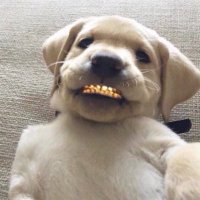 DeAndre🏴‍☠️ (@whoistre) 's Twitter Profile Photo