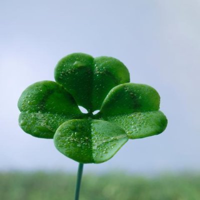 yangliang273871's profile picture. 
