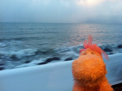 liu_joanne's profile picture. 