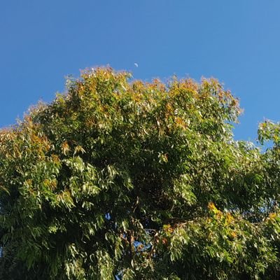 En el calendario no hay fecha exacta para ser feliz