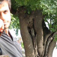 ulaş odabaşı (@ulasodabasi) 's Twitter Profile Photo