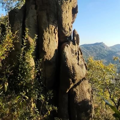 zhaobing111's profile picture. 我是一名加密爱好者