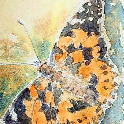 Paoz日常さんのプロフィール画像
