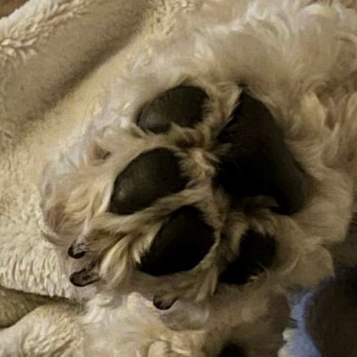 PameErickson's profile picture. Wife | Proud Mom | Small Business Owner | Teacher