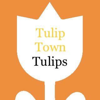 tulip town. a flower shop that sells tulips. located in Charlotte North Carolina