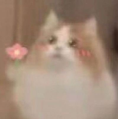 Ghoap_star's profile picture. 23 age
I'll rant or make short storys. enjoy my chaos 💝