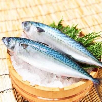 1971年創業の塩さばメーカー【カネジョウ大崎】公式アカウントです🥢🐟こだわりぬいた独自製法でおいしさを追求しています。アレンジレシピやキャンペーン情報をお届けします✨ ふるさと納税も大人気🏅