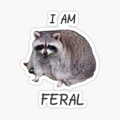 AAA (AuDHD. 💜🤍🩶🖤). 🔞 VeryTired™️ millennial, full of brain squirrels. also making poor choices on tumblr /sadisticaltarts