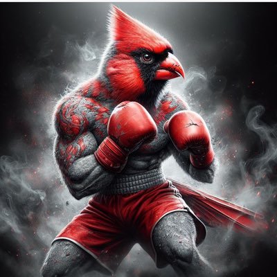 UFC/Boxing/MMA🥊shitposting👑 Louisville Cardinals🐅Cincinnati Bengals 🦋🐝Muhammad Ali is the GOAT. TKD gold medalist, boxer, jiu jitsu practitioner, and dad.