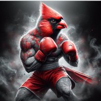 MMA Cardinal🥇🥊(@MmaCardinal) 's Twitter Profile Photo