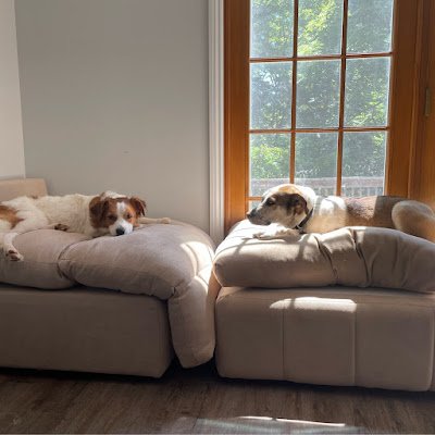 audiblebleedng's profile picture. 